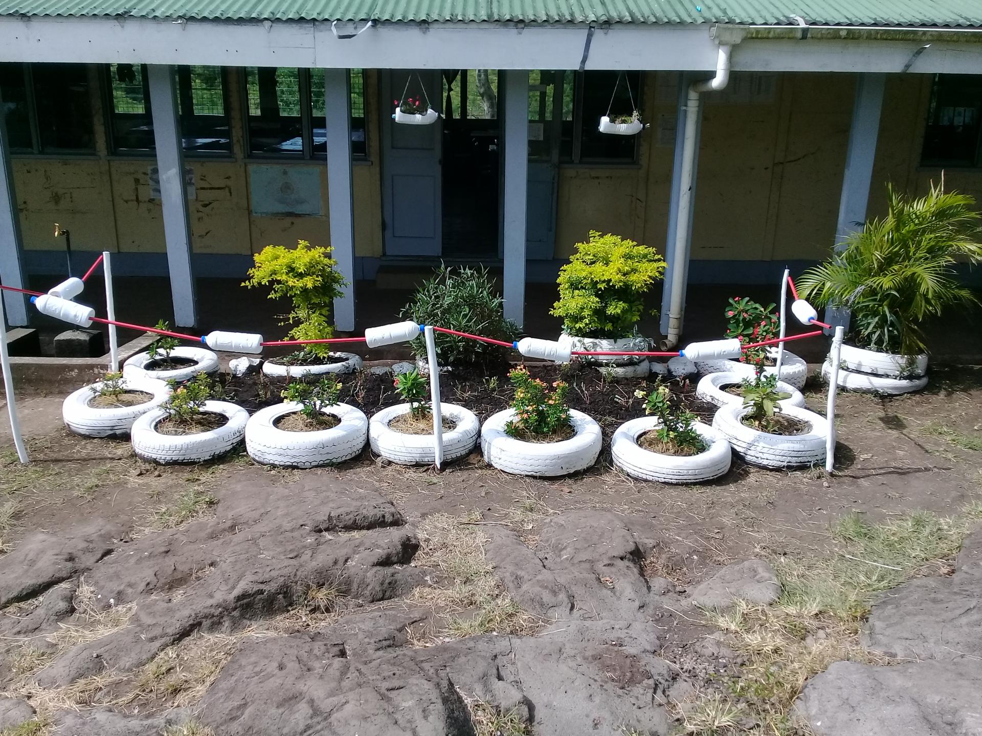 Flower Gardening and Beautification Project School Based Activity